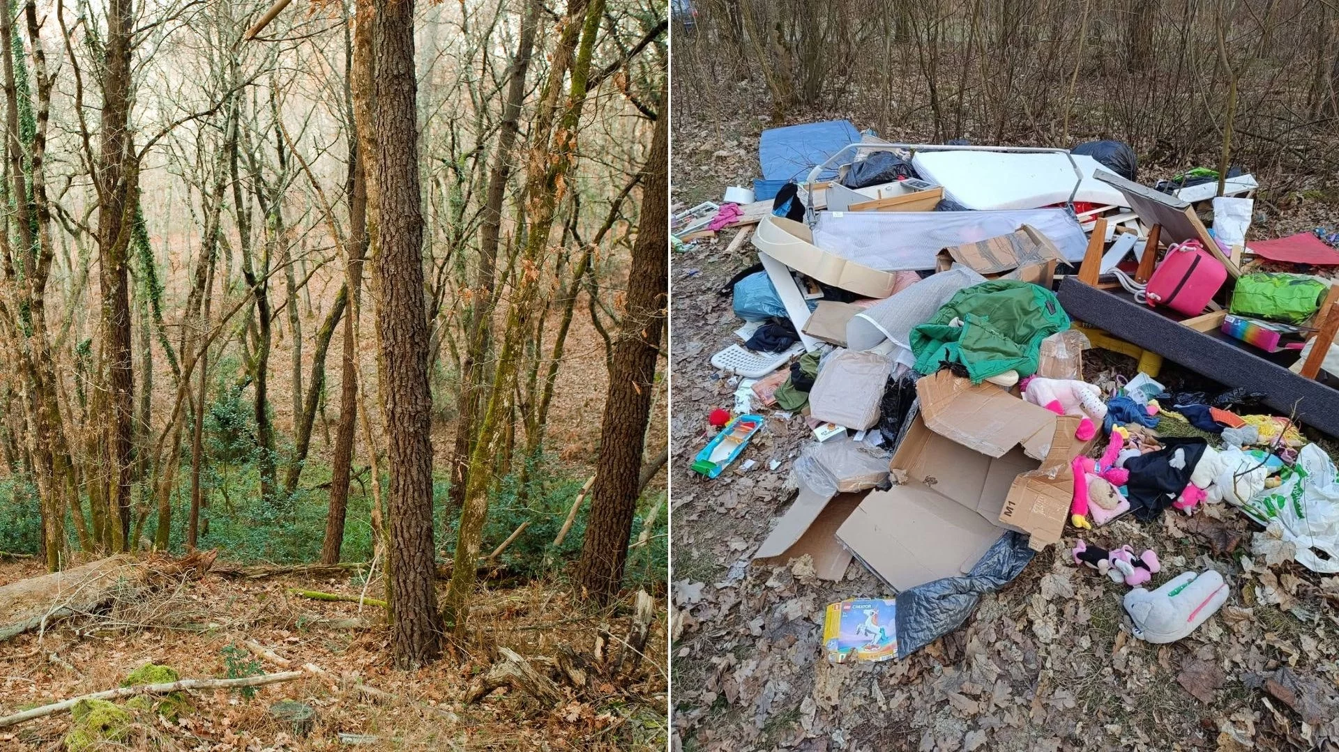 Meble, ubranka i zabawki w środku lasu. Jest finał bulwersującej sprawy Meble, ubranka i zabawki w środku lasu. Jest finał bulwersującej sprawy