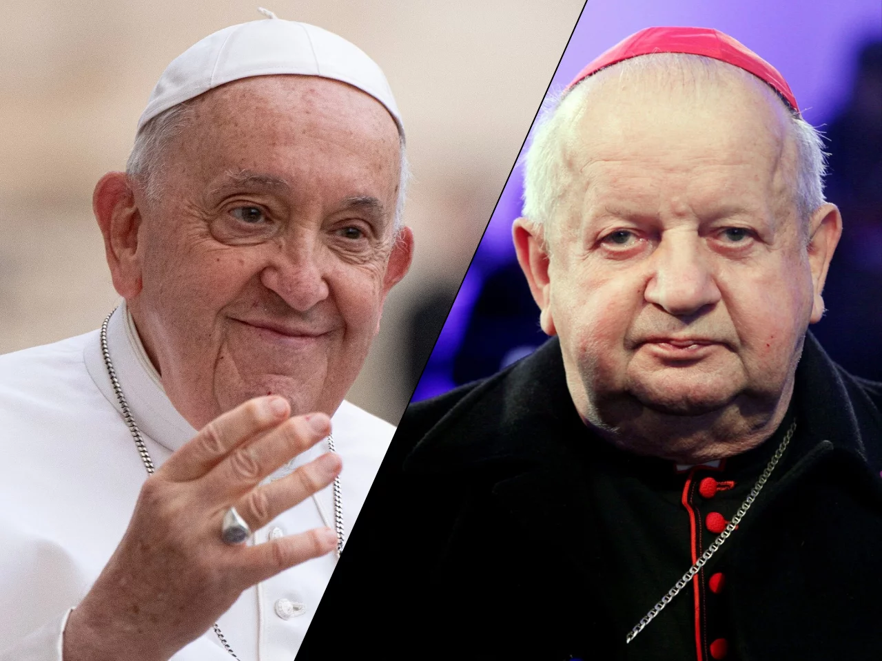 Papież Franciszek zrezygnuje? Kard. Dziwisz zwrócił uwagę na ważną rzecz Papież Franciszek zrezygnuje? Kard. Dziwisz zwrócił uwagę na ważną rzecz