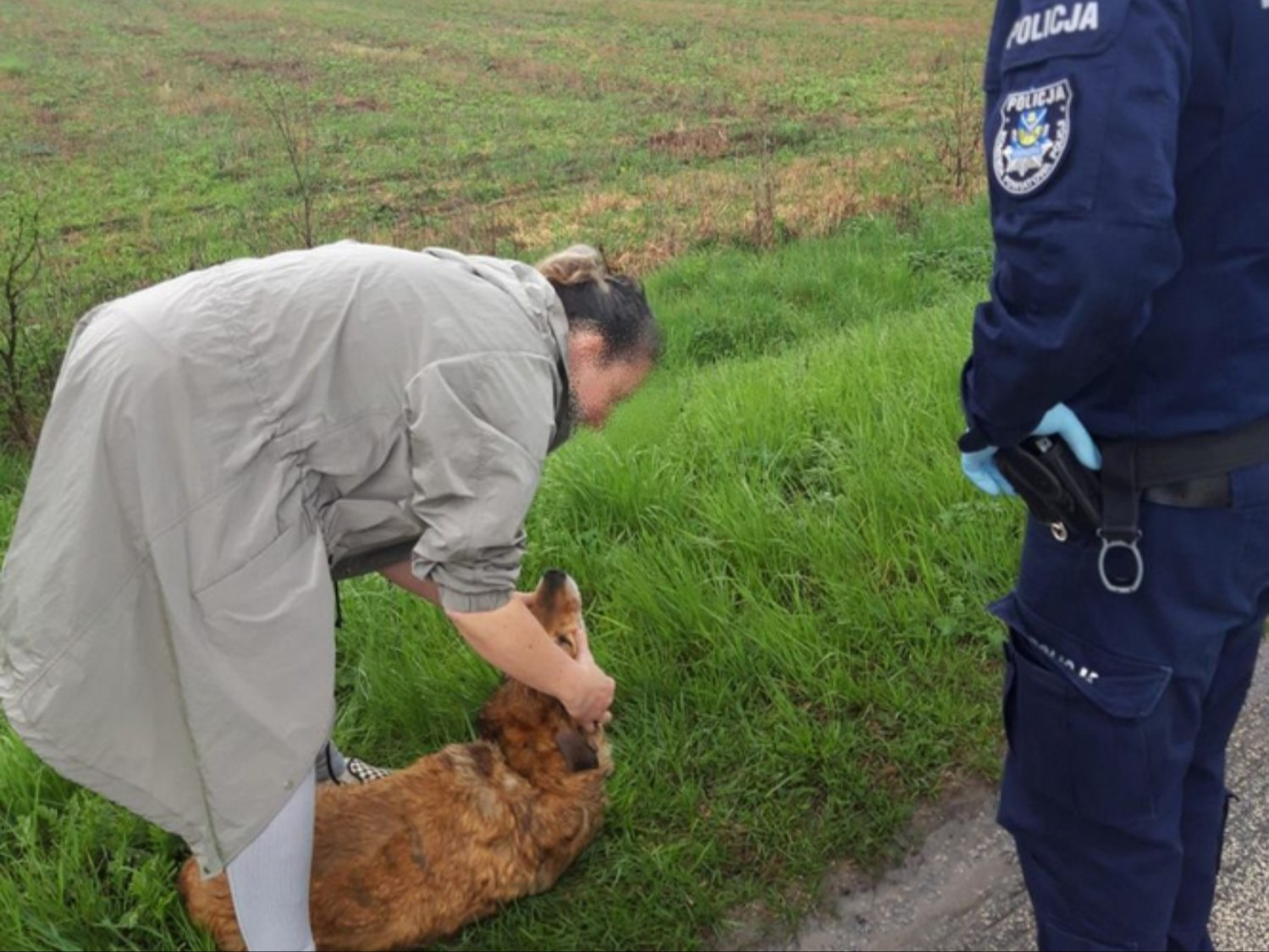 Pies leżał przy drodze. Wezwano policję Pies leżał przy drodze. Wezwano policję