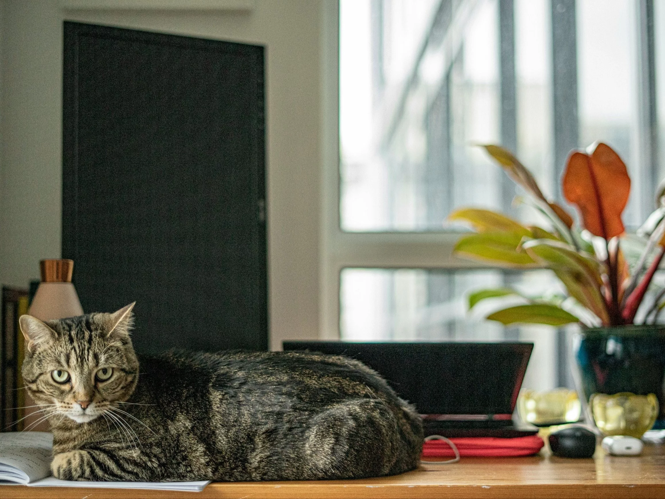 Quiz ortograficzny na rozpoczęcie weekendu. Jeden dylemat uporczywie powraca Quiz ortograficzny na rozpoczęcie weekendu. Jeden dylemat uporczywie powraca