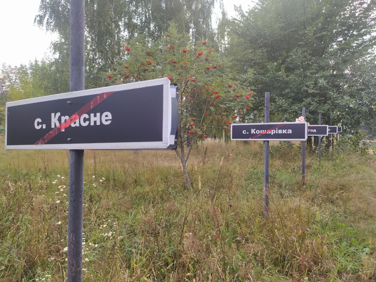 Czarnobyl znów może karmić ludzi? Naukowcy zadziwiają wynikami badań